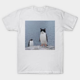 Cat Penguin Design T-Shirt